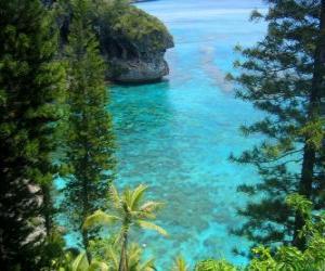 Puzzle Υφάλους και τα οικοσυστήματα, η γαλλική αρχιπέλαγος της Νέας Καληδονίας, που βρίσκεται στον Ειρηνικό Ωκεανό.